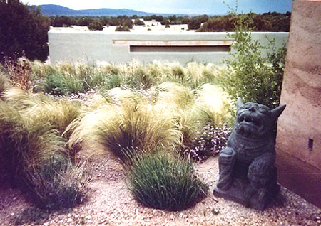 Beautiful Gardens: planting of residential and commercial gardens in New Mexico